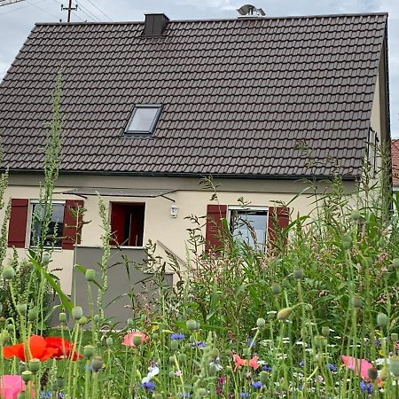 Ferienhaus Bei Lauingen, Mit Sauna Und Gartenlounge Veitriedhausen 外观 照片