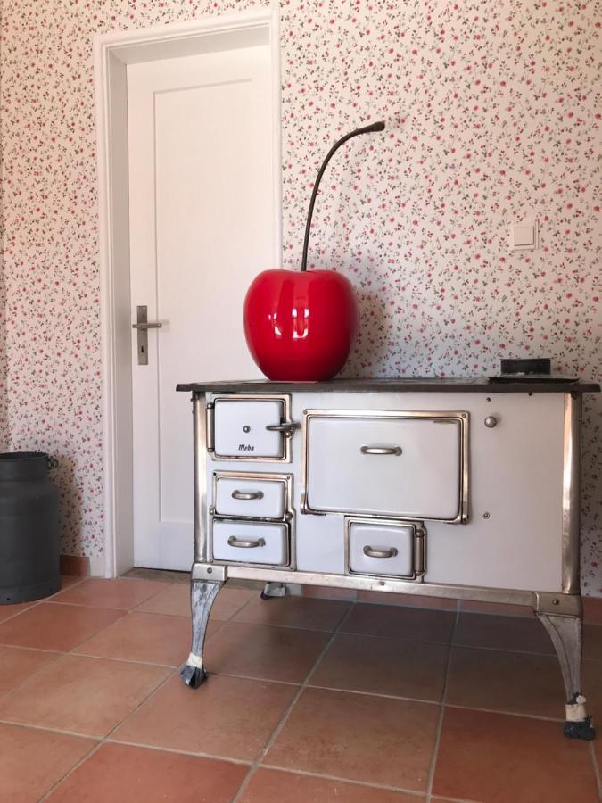 Ferienhaus Bei Lauingen, Mit Sauna Und Gartenlounge Veitriedhausen 外观 照片