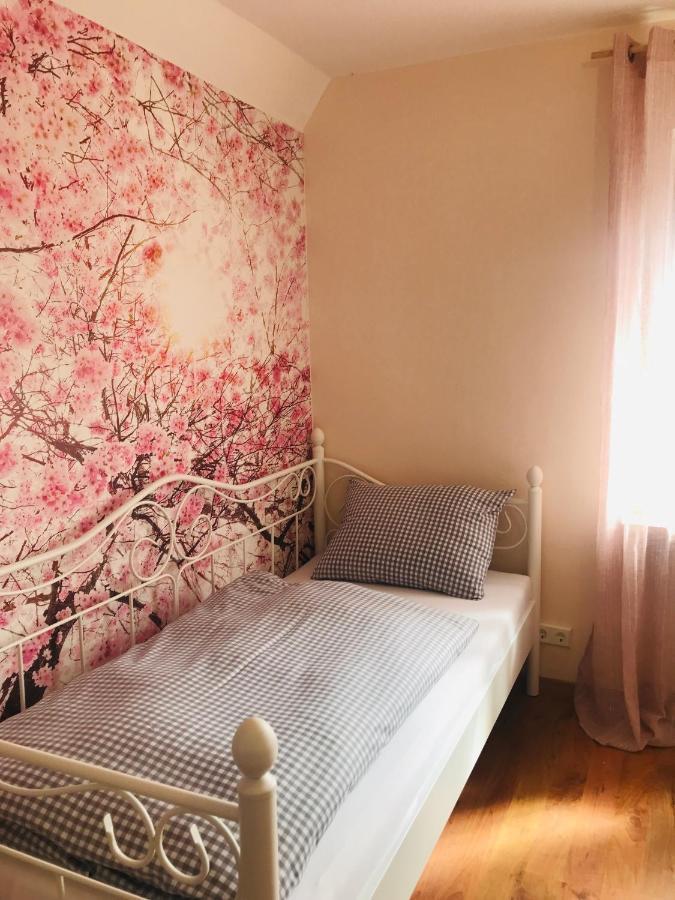 Ferienhaus Bei Lauingen, Mit Sauna Und Gartenlounge Veitriedhausen 外观 照片