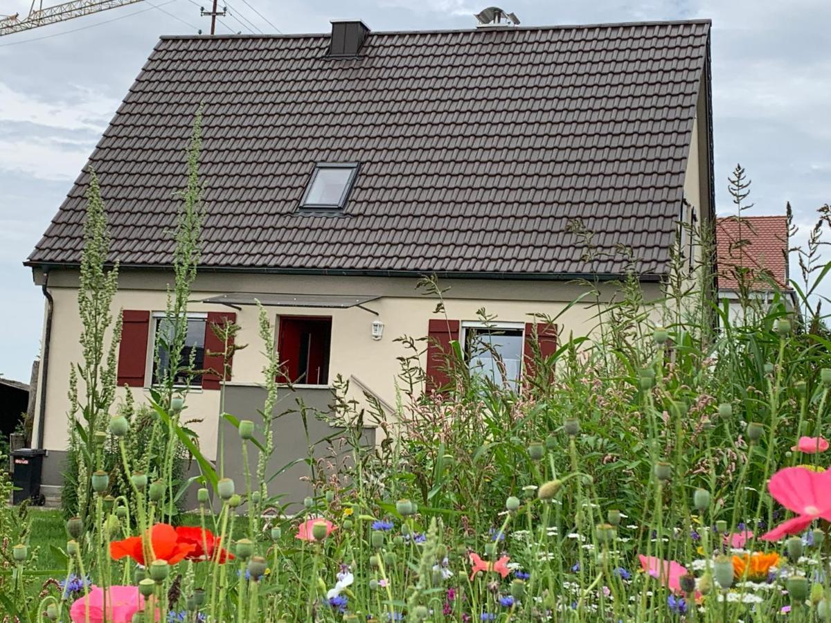 Ferienhaus Bei Lauingen, Mit Sauna Und Gartenlounge Veitriedhausen 外观 照片
